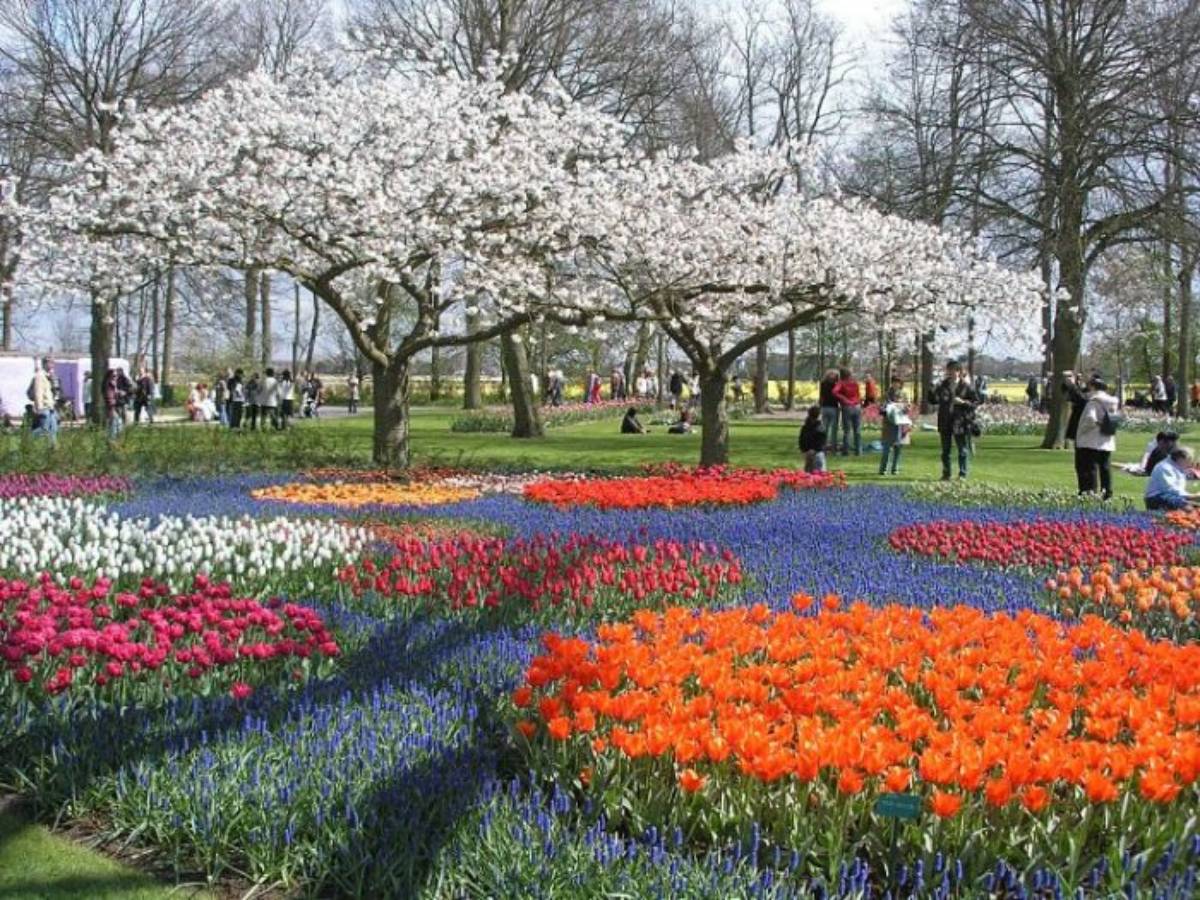 10 Hermosos Jardines al rededor del mundo