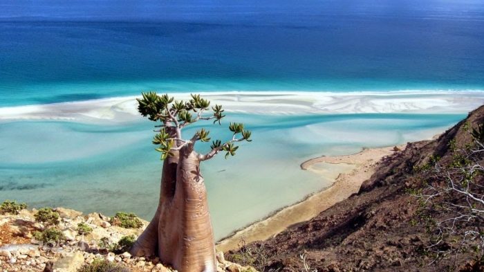 lugares  raros del mundo Isla-de-Socotra7-700x393