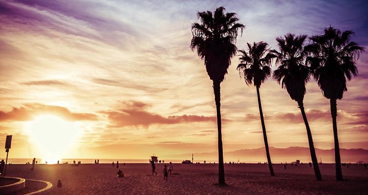 Venice Beach. California