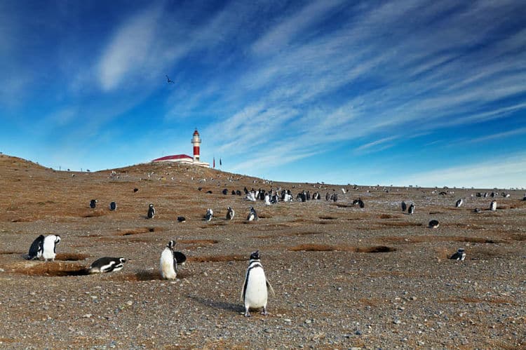 Monumento Natural Los Pingüinos
