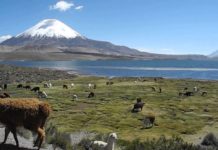 Atracciones Turísticas de Chile