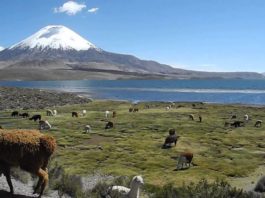 Atracciones Turísticas de Chile