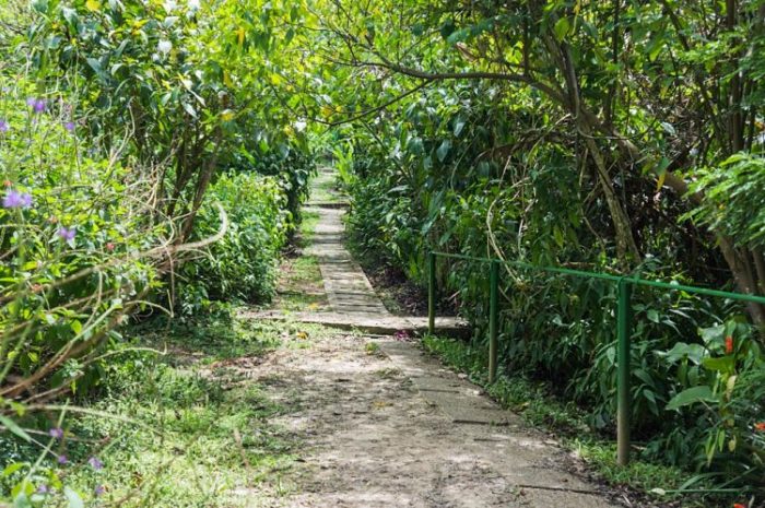 Uno de los senderos del Asa Wright Nature Centre & Lodge, Trinidad