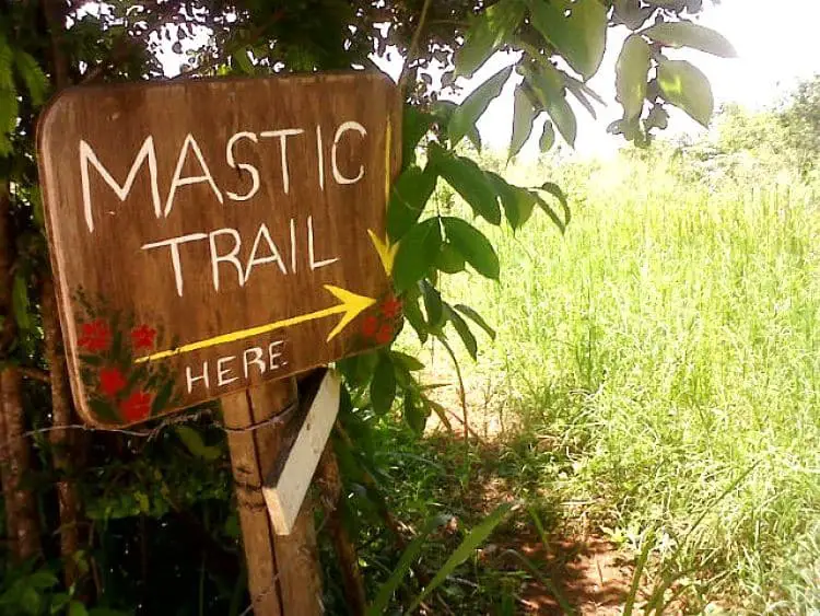 Reserva y Camino Mastic