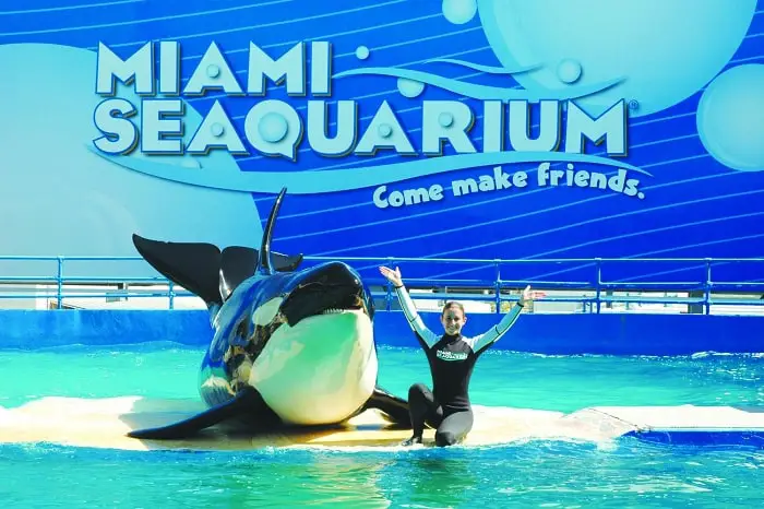 Conoce Las 5 Mejores Atracciones Turísticas De Miami Atracciones Turísticas De Miami