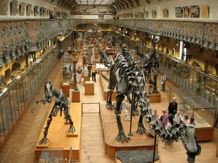 Museo-de-Historia-Natural-de-Londres-6
