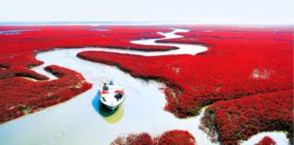 Playa roja de Panjin